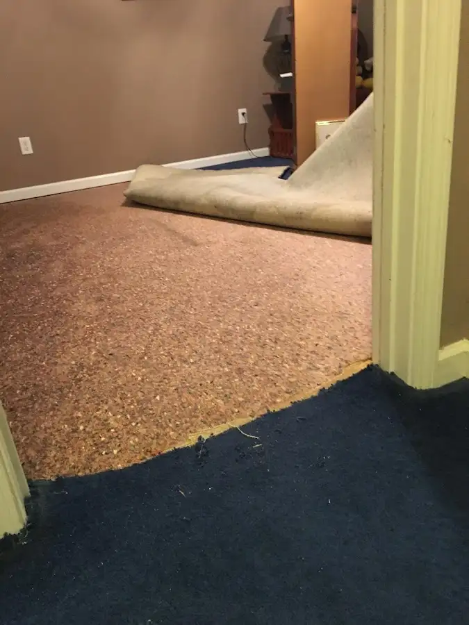 Carpet pad removal revealing water damage during Drying & Dehumidification in Loveland