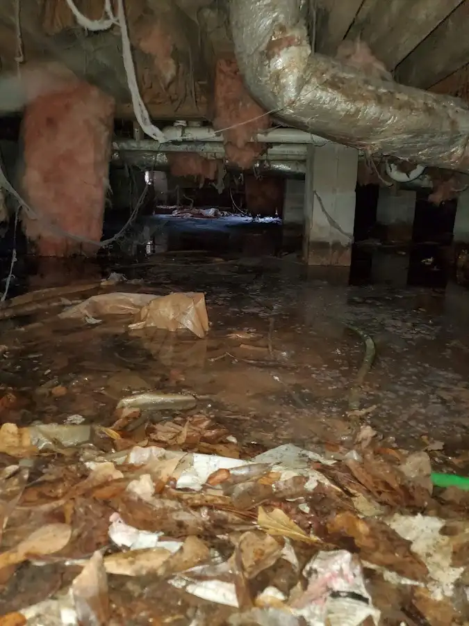 Crawl space flood assessment for Commercial Water Damage Restoration in Loveland