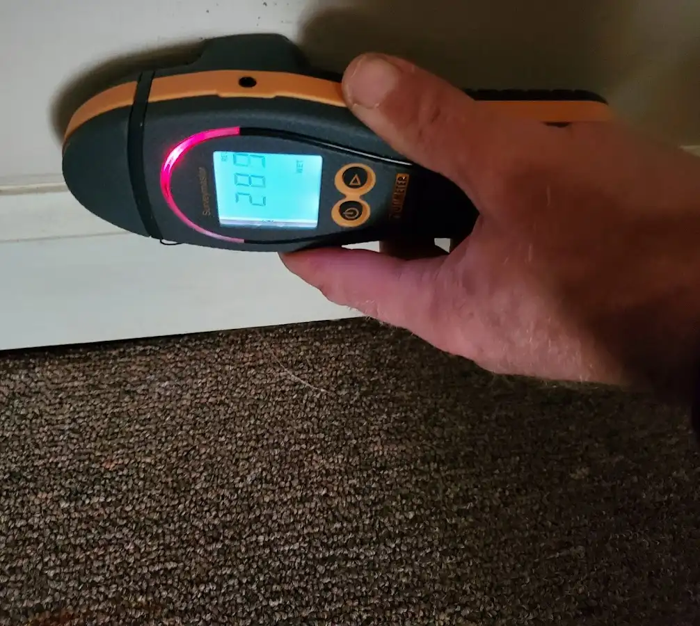 Moisture detection at baseboard during Burst Pipe Cleanup in Loveland